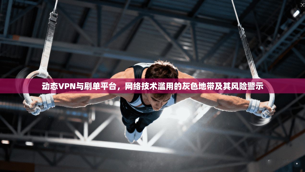 动态VPN与刷单平台，网络技术滥用的灰色地带及其风险警示