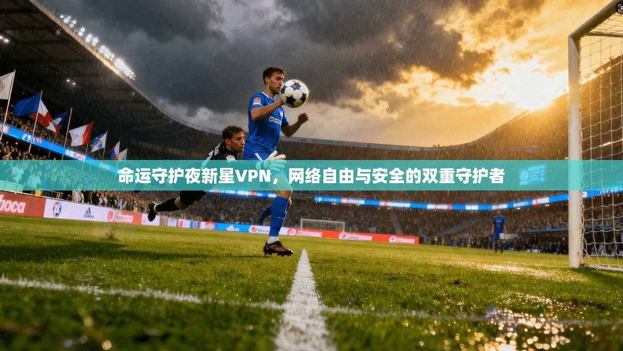 命运守护夜新星VPN，网络自由与安全的双重守护者