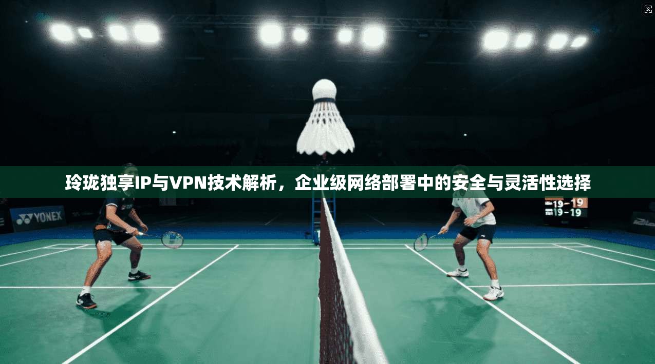 玲珑独享IP与VPN技术解析，企业级网络部署中的安全与灵活性选择