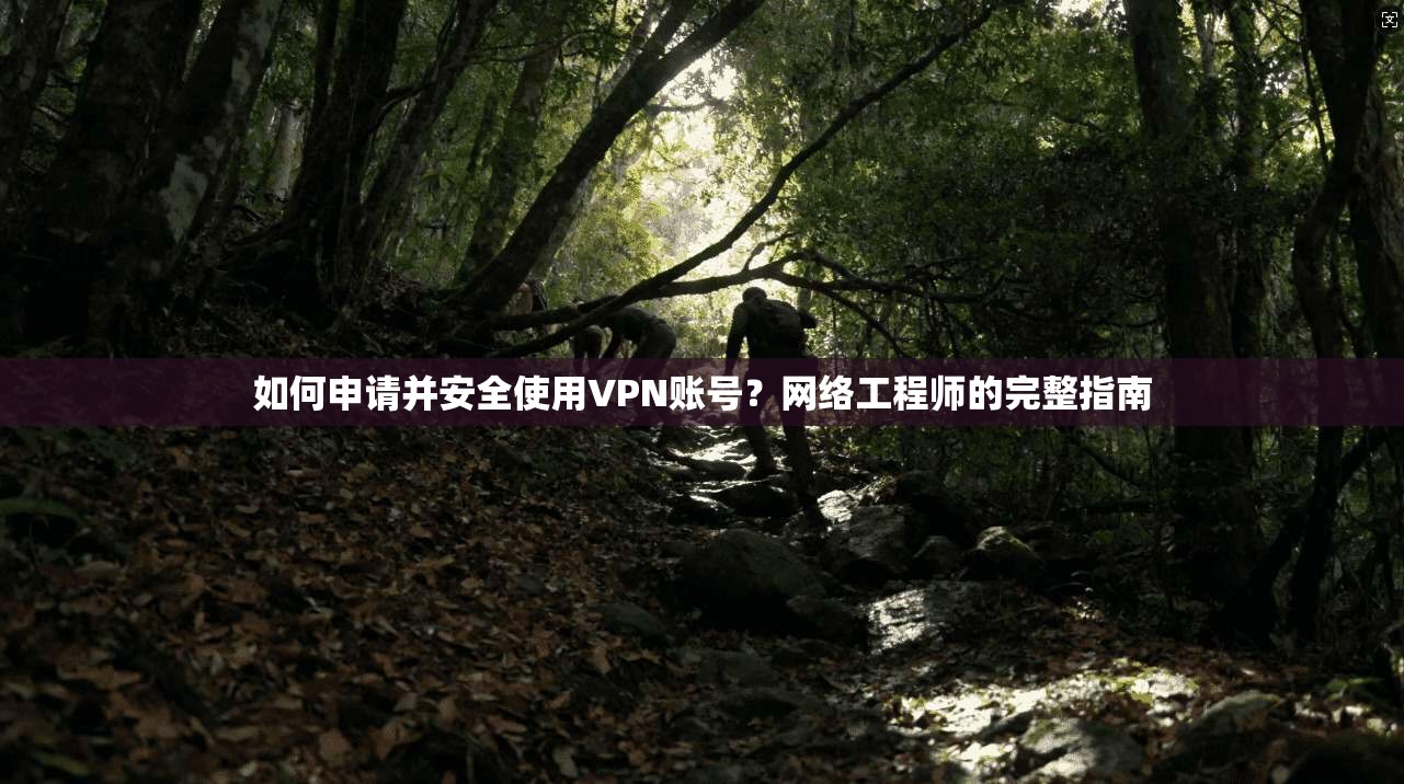 如何申请并安全使用VPN账号？网络工程师的完整指南