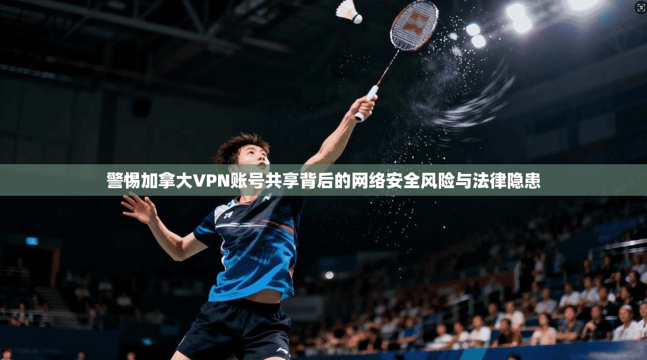 警惕加拿大VPN账号共享背后的网络安全风险与法律隐患