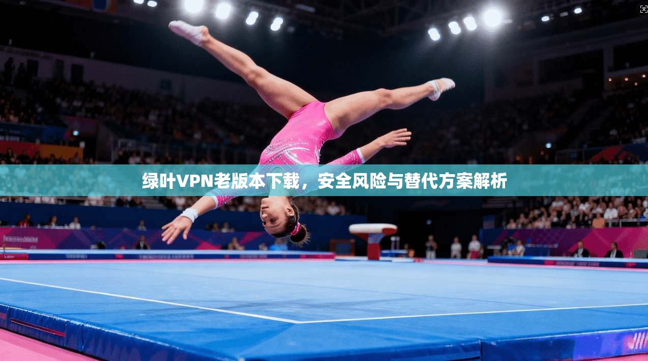 绿叶VPN老版本下载，安全风险与替代方案解析