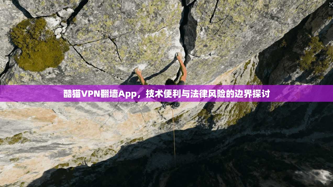 酷猫VPN翻墙App，技术便利与法律风险的边界探讨