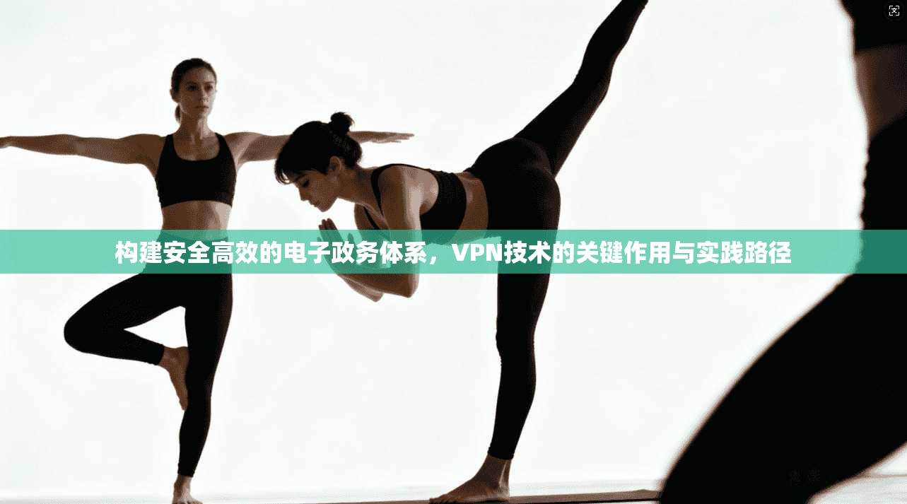 构建安全高效的电子政务体系,VPN技术的关键作用与实践路径 构建安全高效的电子政务体系,VPN技术的关键作用与实践路径