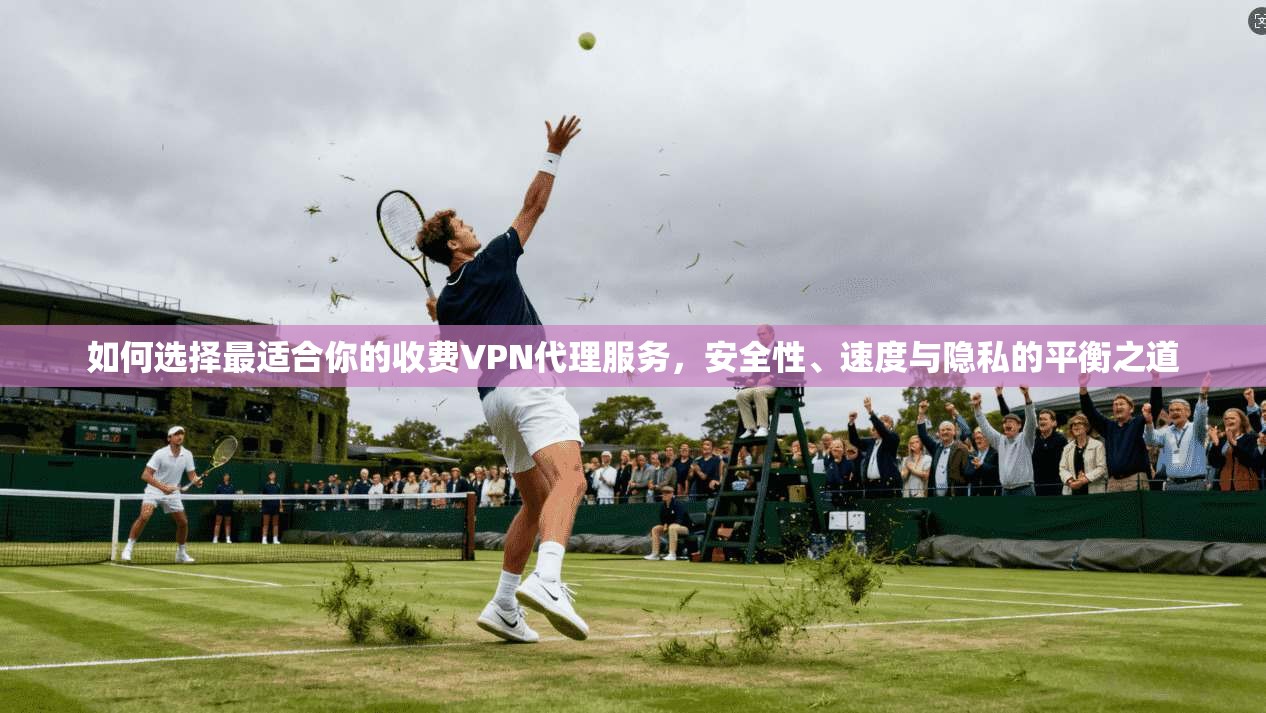 如何选择最适合你的收费VPN代理服务，安全性、速度与隐私的平衡之道