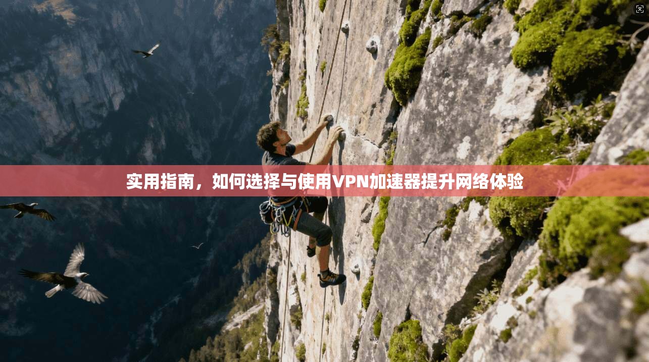 实用指南，如何选择与使用VPN加速器提升网络体验