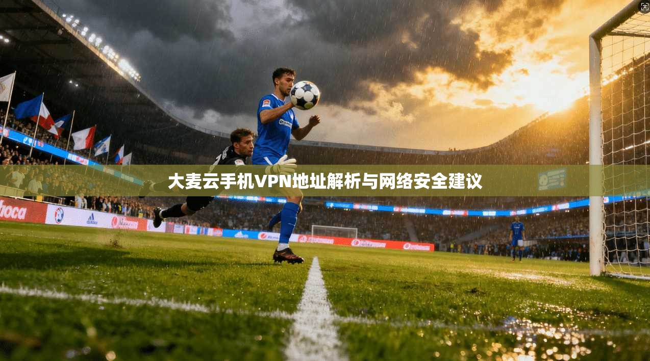 大麦云手机VPN地址解析与网络安全建议