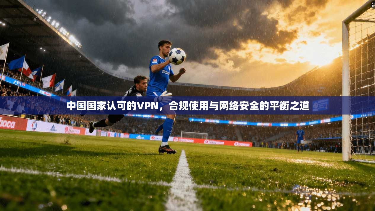 中国国家认可的VPN,合规使用与网络安全的平衡之道 中国国家认可的VPN,合规使用与网络安全的平衡之道