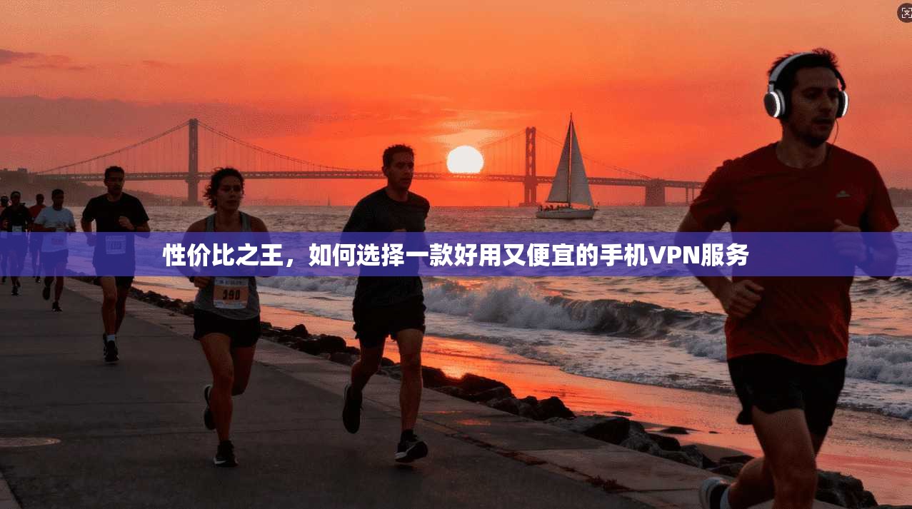 性价比之王，如何选择一款好用又便宜的手机VPN服务