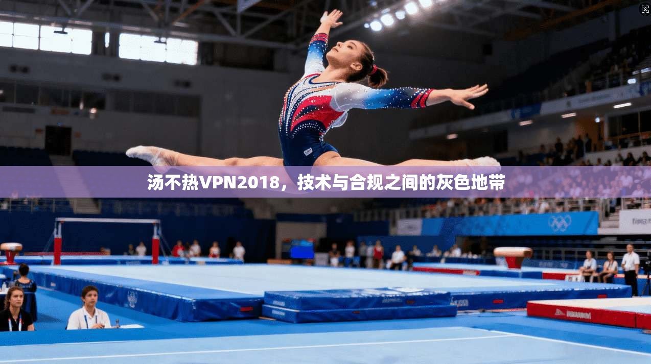 汤不热VPN2018,技术与合规之间的灰色地带