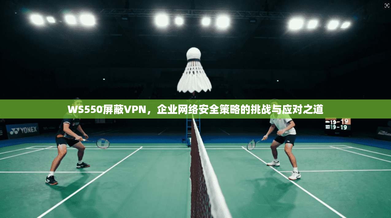 WS550屏蔽VPN，企业网络安全策略的挑战与应对之道