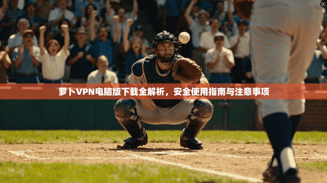 萝卜VPN电脑版下载全解析,安全使用指南与注意事项