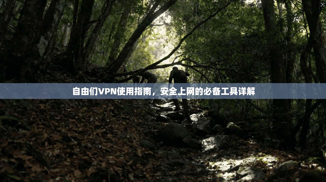 自由们VPN使用指南,安全上网的必备工具详解