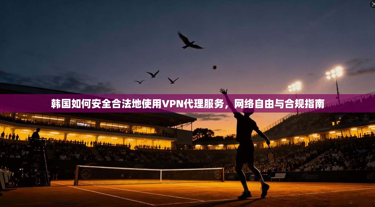 韩国如何安全合法地使用VPN代理服务,网络自由与合规指南 韩国如何安全合法地使用VPN代理服务,网络自由与合规指南