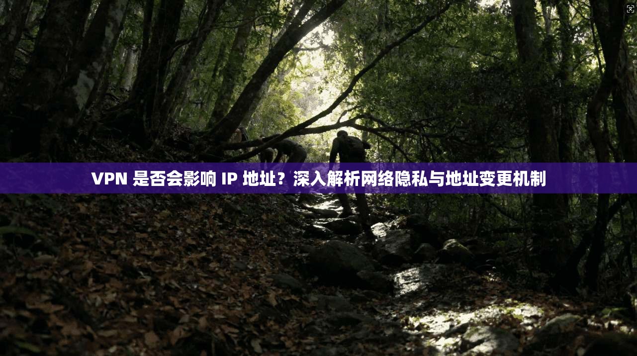 VPN 是否会影响 IP 地址？深入解析网络隐私与地址变更机制