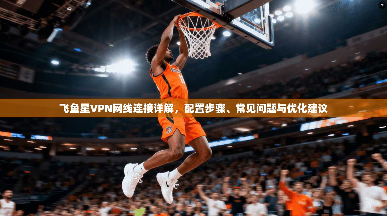 飞鱼星VPN网线连接详解，配置步骤、常见问题与优化建议