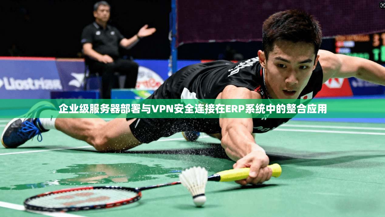 企业级服务器部署与VPN安全连接在ERP系统中的整合应用