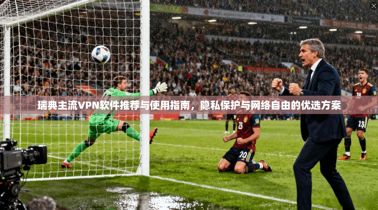 瑞典主流VPN软件推荐与使用指南,隐私保护与网络自由的优选方案