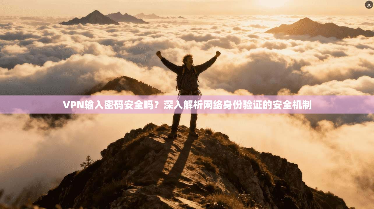 VPN输入密码安全吗?深入解析网络身份验证的安全机制