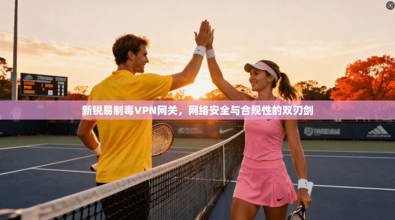 新锐易制毒VPN网关,网络安全与合规性的双刃剑