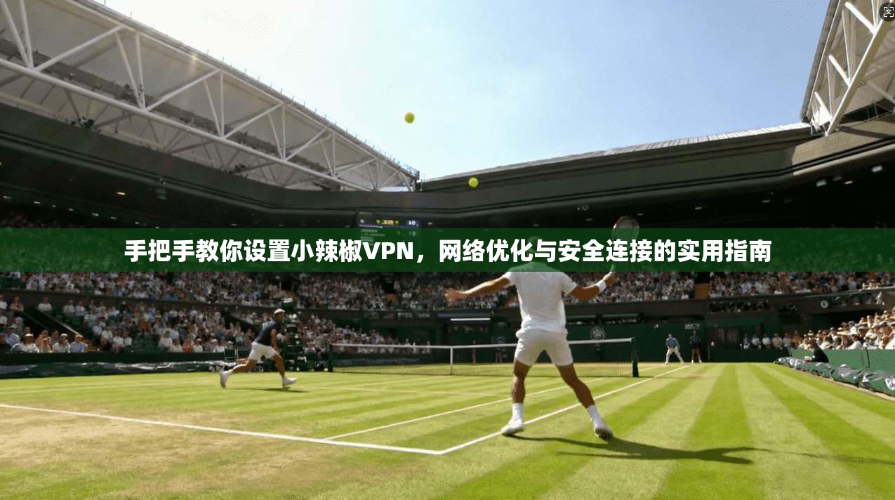 手把手教你设置小辣椒VPN，网络优化与安全连接的实用指南