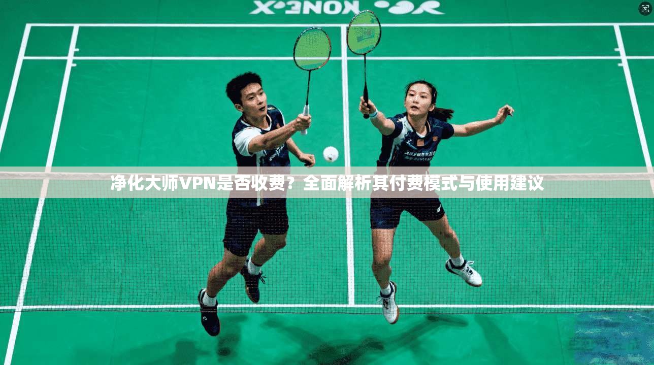 净化大师VPN是否收费?全面解析其付费模式与使用建议