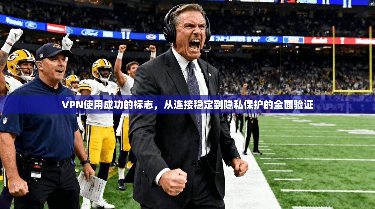 VPN使用成功的标志,从连接稳定到隐私保护的全面验证