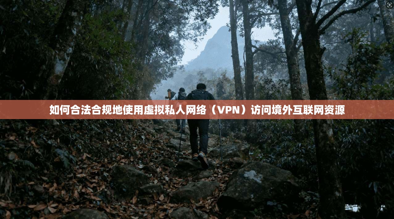 如何合法合规地使用虚拟私人网络（VPN）访问境外互联网资源