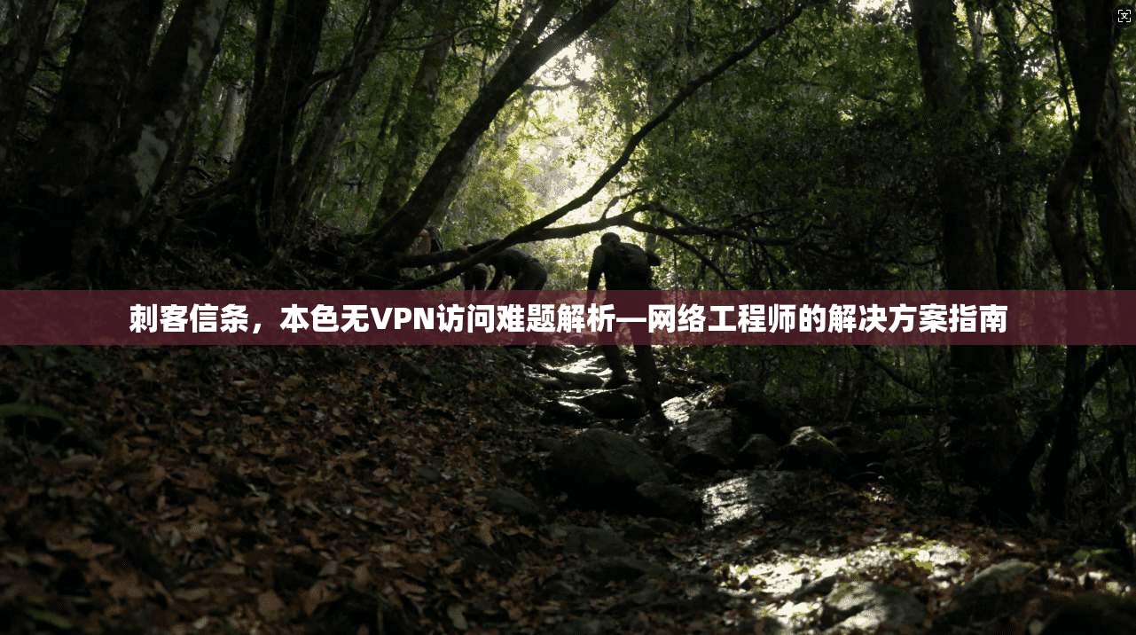 刺客信条，本色无VPN访问难题解析—网络工程师的解决方案指南