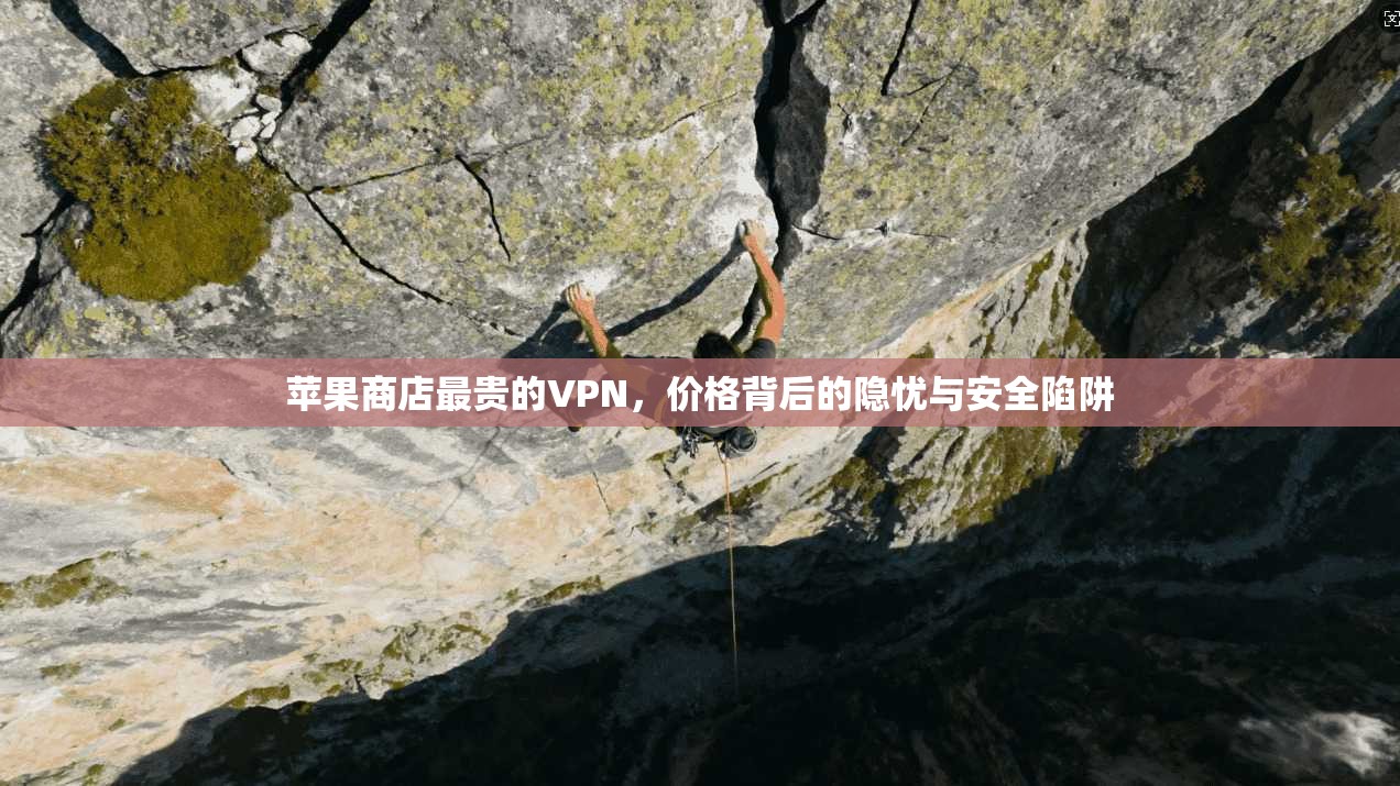 苹果商店最贵的VPN，价格背后的隐忧与安全陷阱
