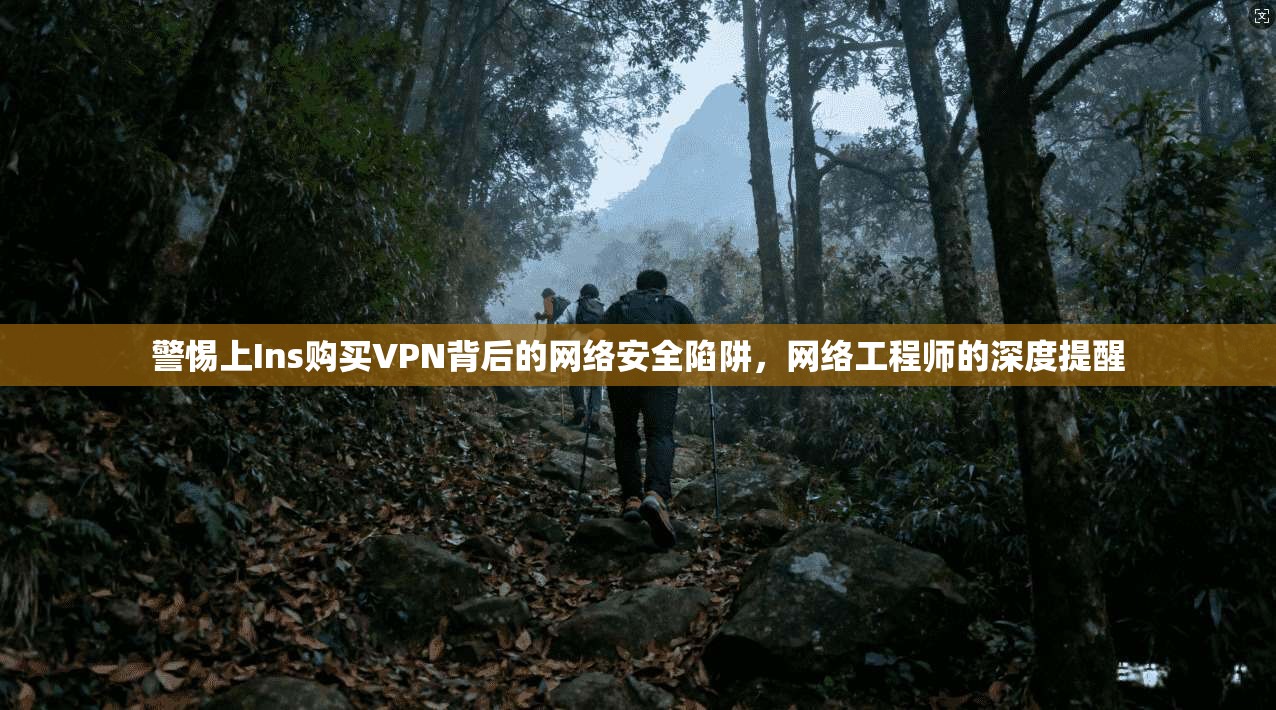警惕上Ins购买VPN背后的网络安全陷阱，网络工程师的深度提醒