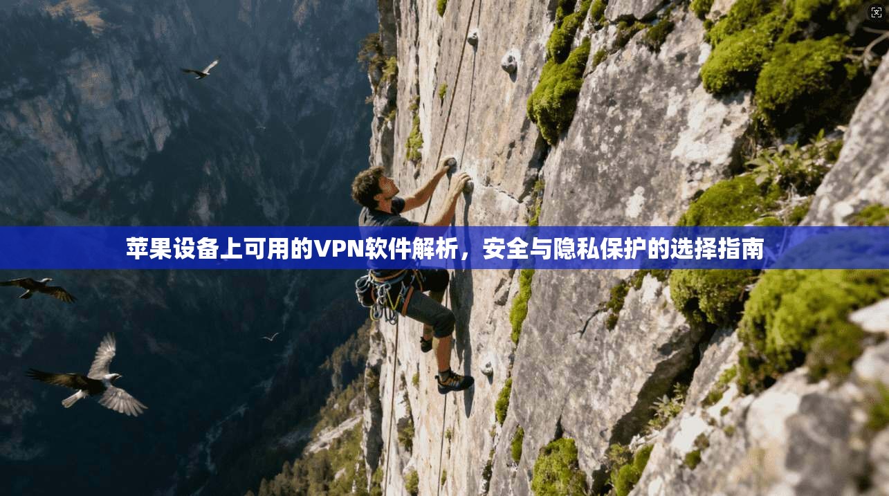 苹果设备上可用的VPN软件解析，安全与隐私保护的选择指南