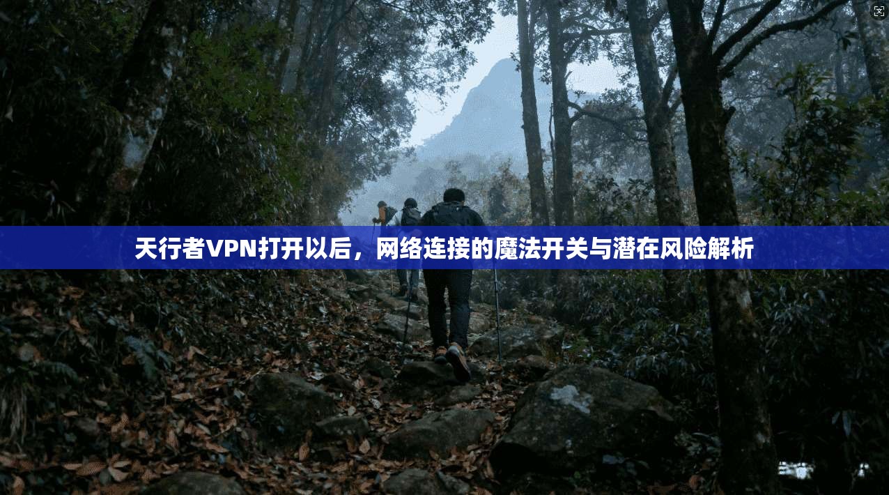 天行者VPN打开以后，网络连接的魔法开关与潜在风险解析