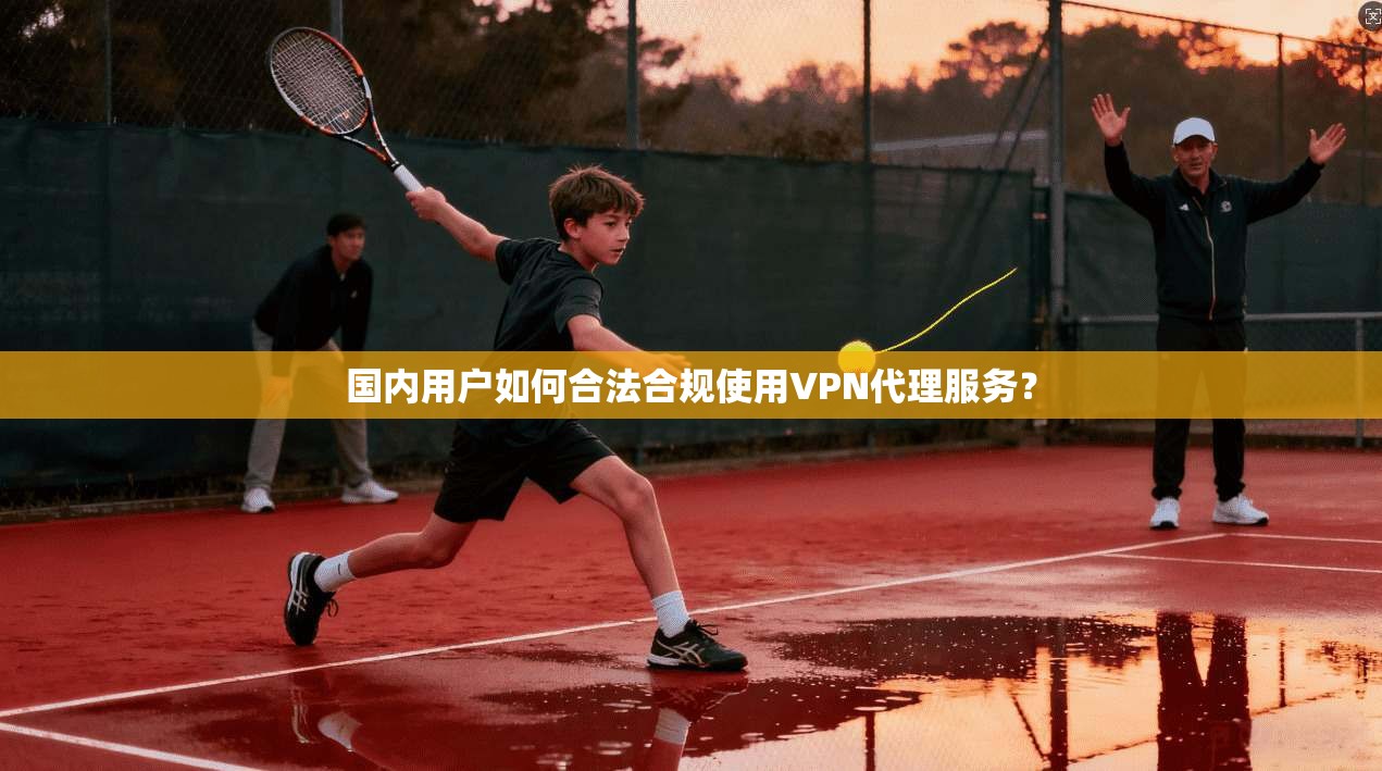 国内用户如何合法合规使用VPN代理服务？