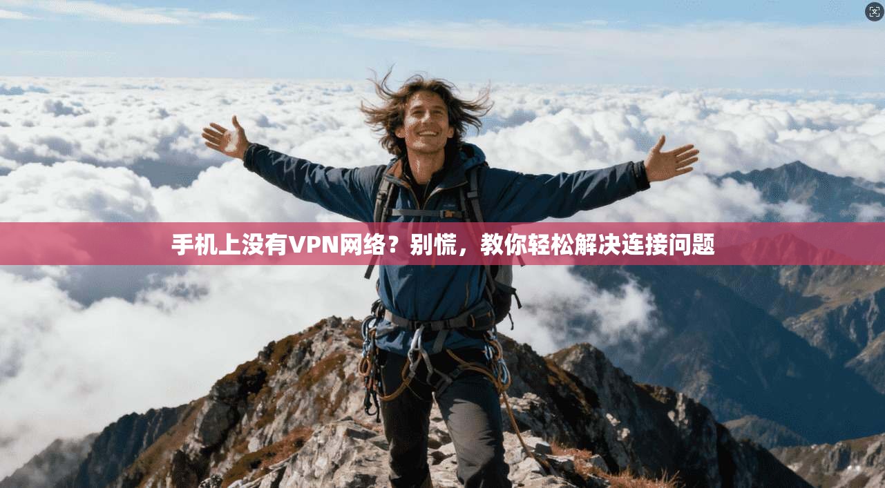 手机上没有VPN网络？别慌，教你轻松解决连接问题