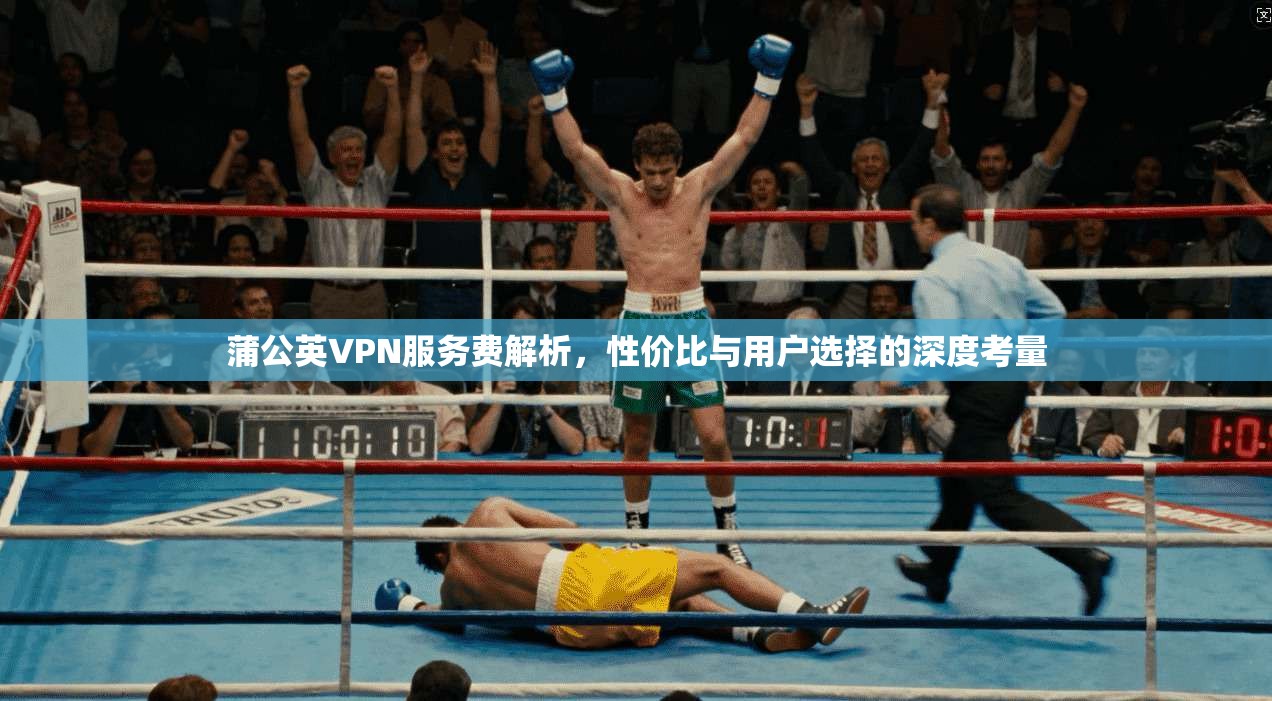 蒲公英VPN服务费解析，性价比与用户选择的深度考量