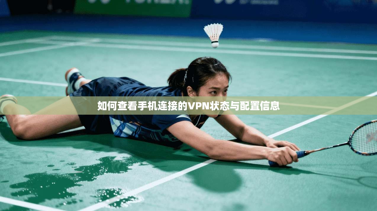 如何查看手机连接的VPN状态与配置信息