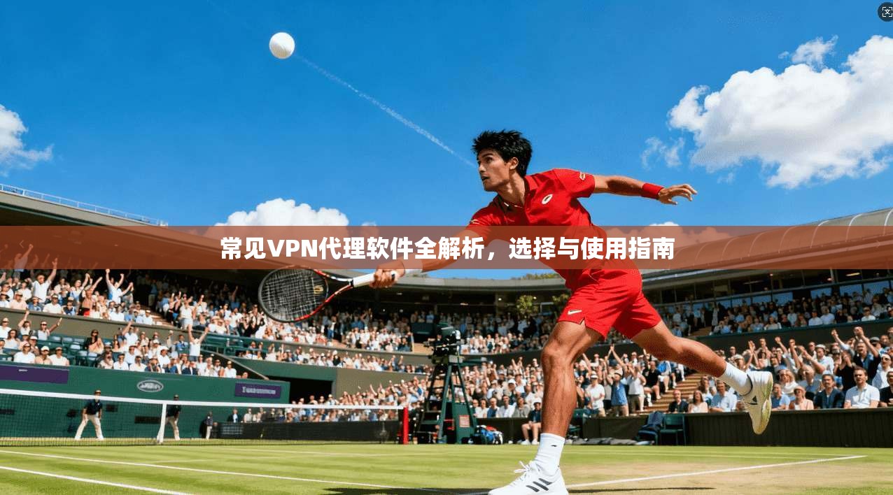 常见VPN代理软件全解析，选择与使用指南