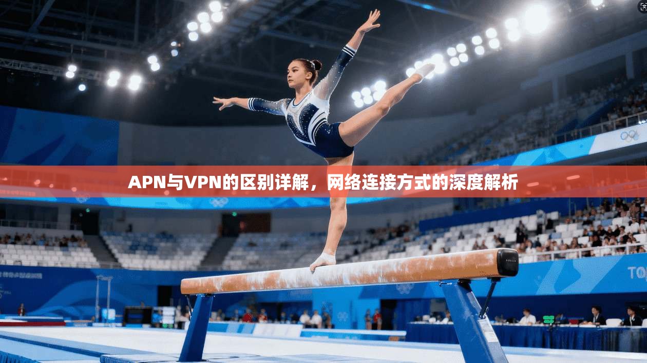 APN与VPN的区别详解，网络连接方式的深度解析