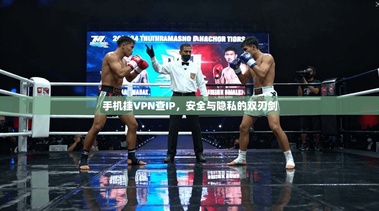 手机挂VPN查IP,安全与隐私的双刃剑
