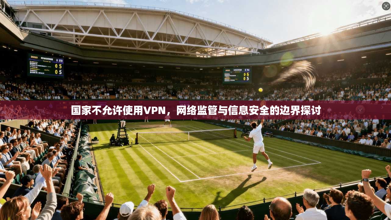 国家不允许使用VPN，网络监管与信息安全的边界探讨