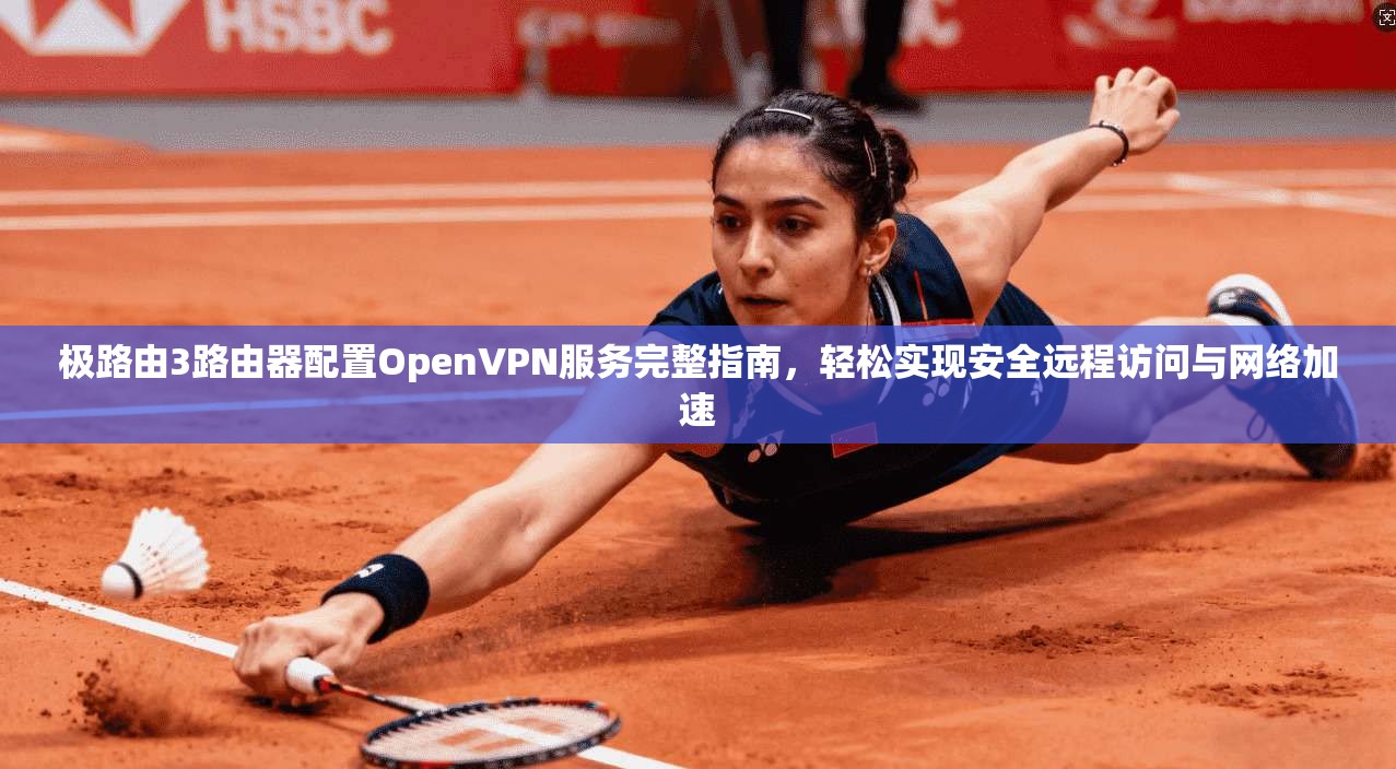 极路由3路由器配置OpenVPN服务完整指南，轻松实现安全远程访问与网络加速