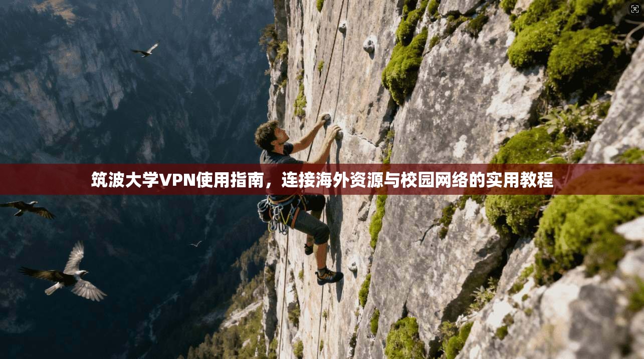 筑波大学VPN使用指南，连接海外资源与校园网络的实用教程