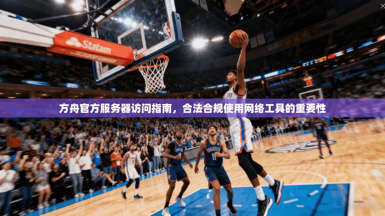 方舟官方服务器访问指南,合法合规使用网络工具的重要性