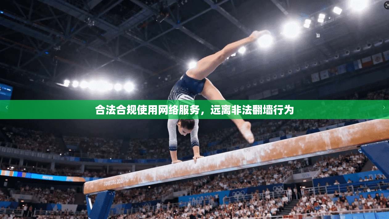合法合规使用网络服务，远离非法翻墙行为