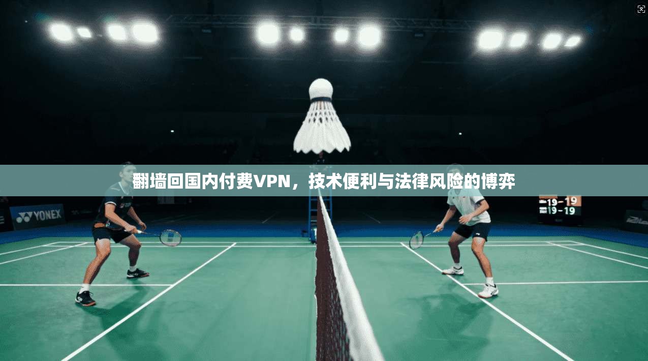 翻墙回国内付费VPN，技术便利与法律风险的博弈