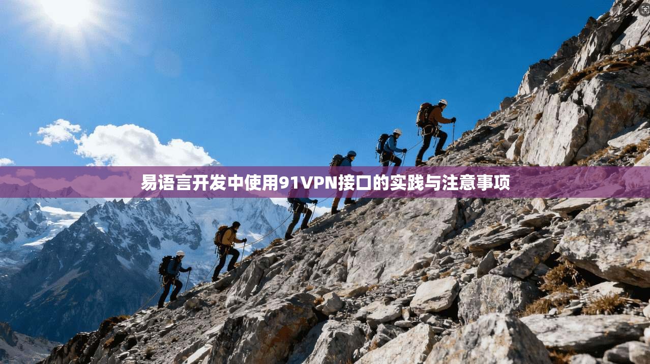 易语言开发中使用91VPN接口的实践与注意事项