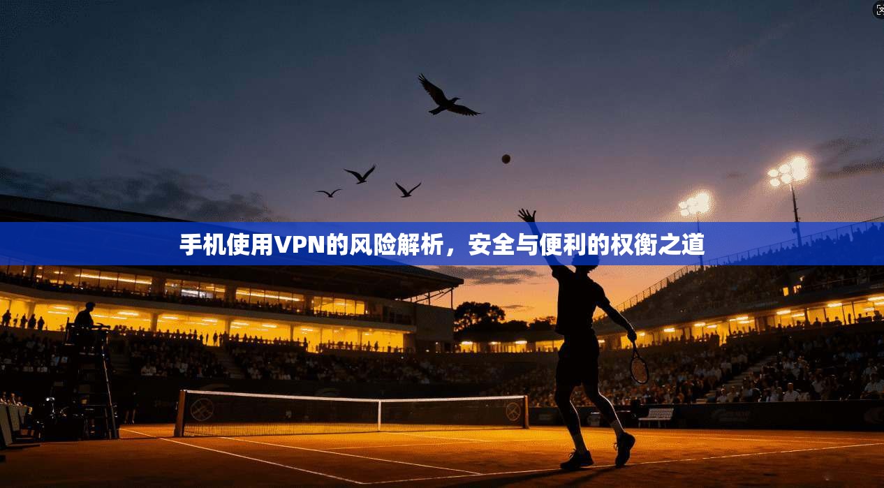 手机使用VPN的风险解析,安全与便利的权衡之道