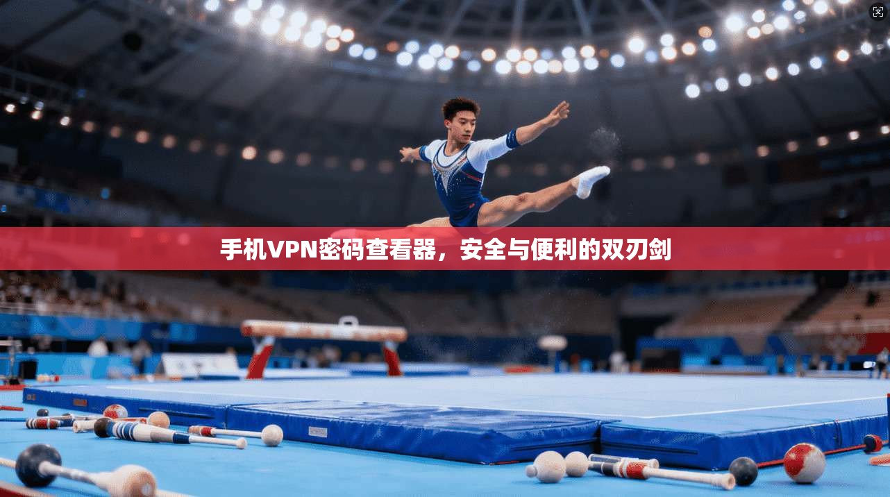 手机VPN密码查看器，安全与便利的双刃剑