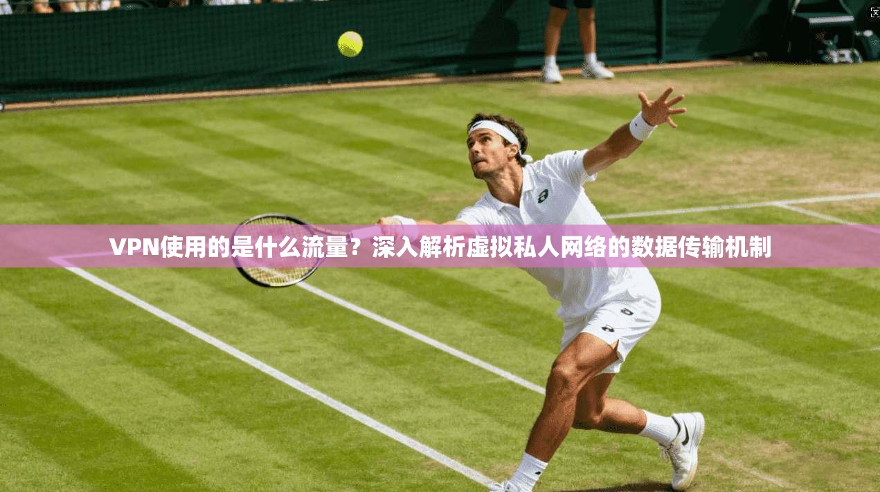 VPN使用的是什么流量？深入解析虚拟私人网络的数据传输机制
